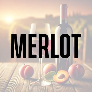 Merlot